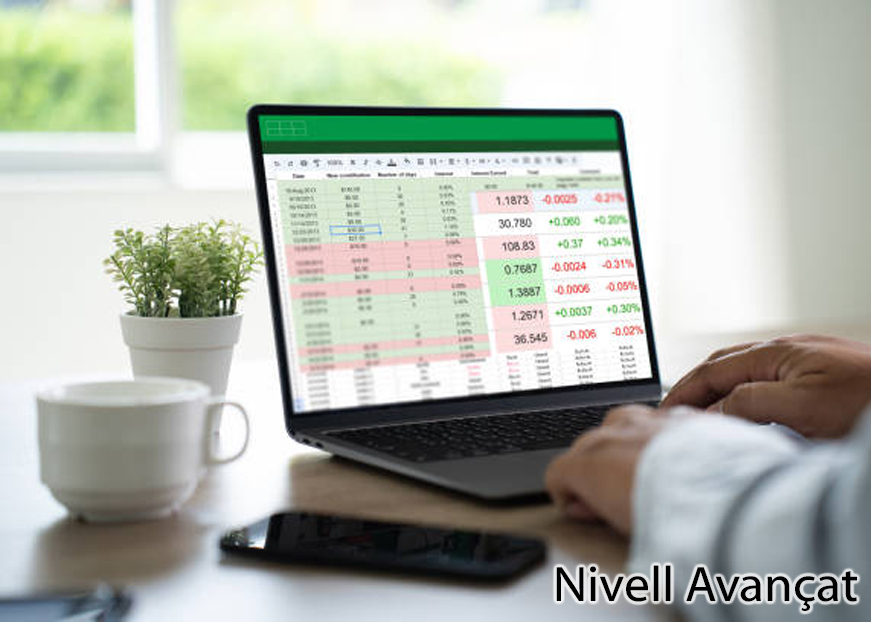 Microsoft Excel 2016 Nivell Avançat